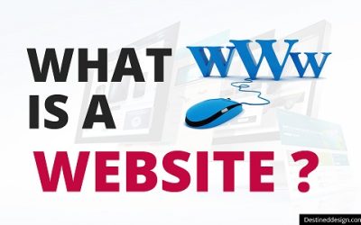 Web Design Basics