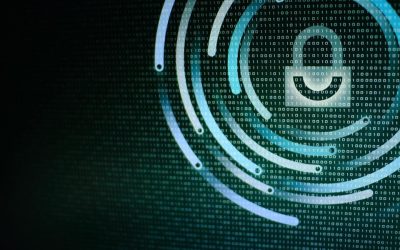 The Importance of Website Security and How to Protect Your Site